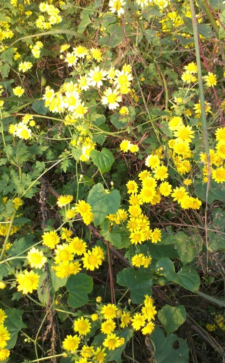 QQͼƬ20131125094540.jpg