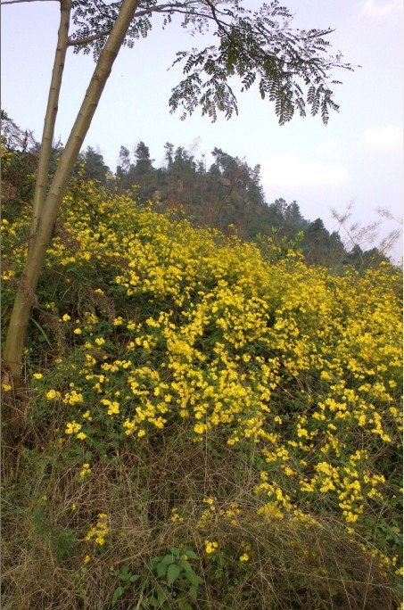 QQͼƬ20131125094527.jpg
