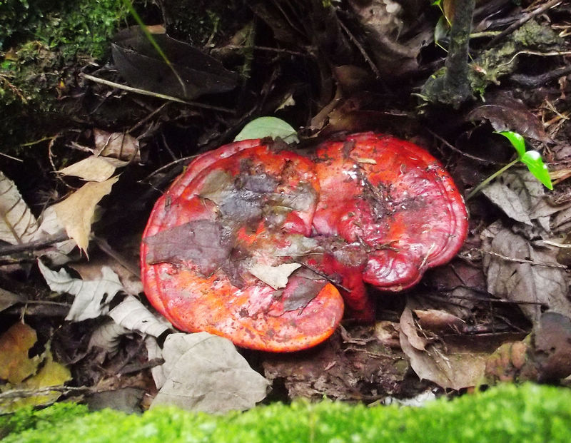 DSCF8381.JPG