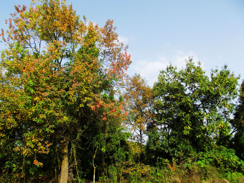 DSCF8389.JPG