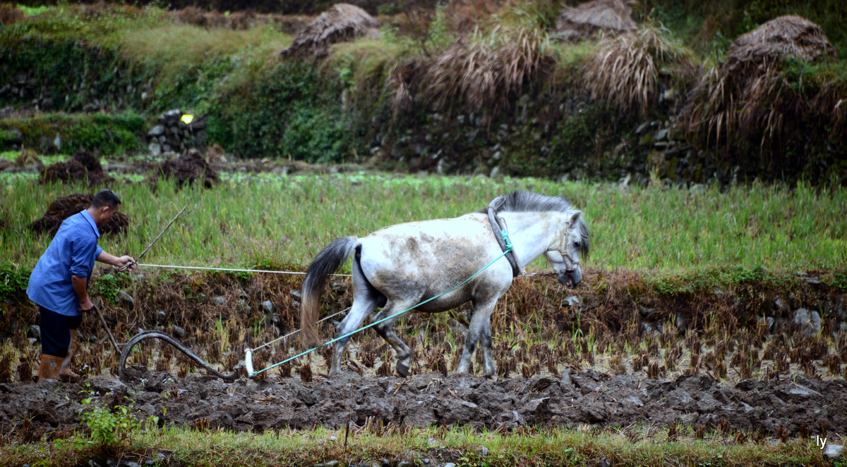 DSC_6397.JPG