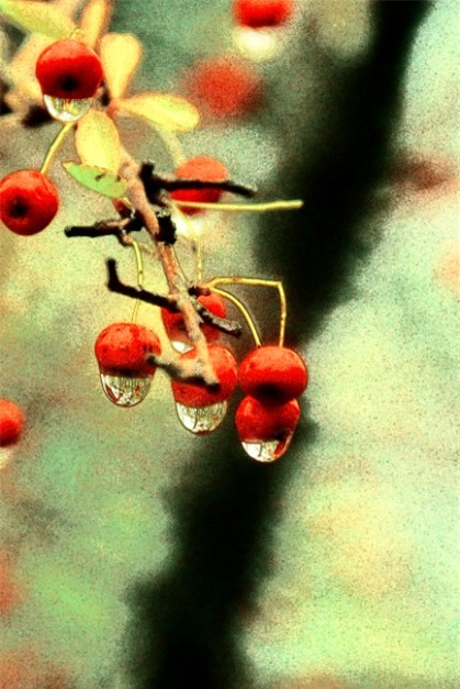 20131126103056.jpg