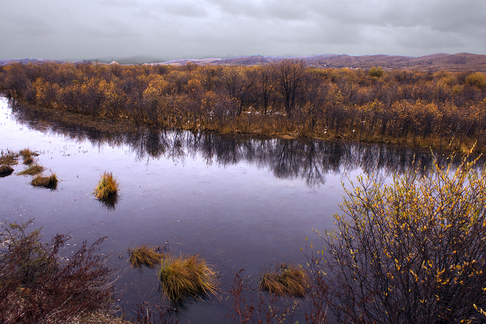 DSC09709a.jpg
