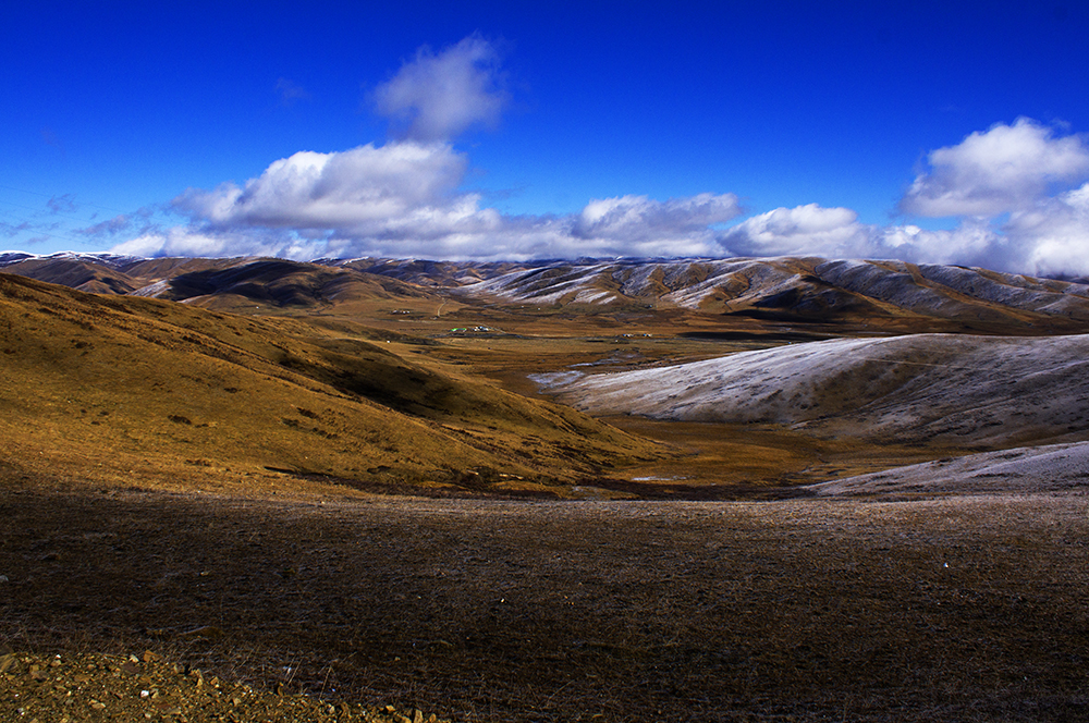 DSC00143a.jpg