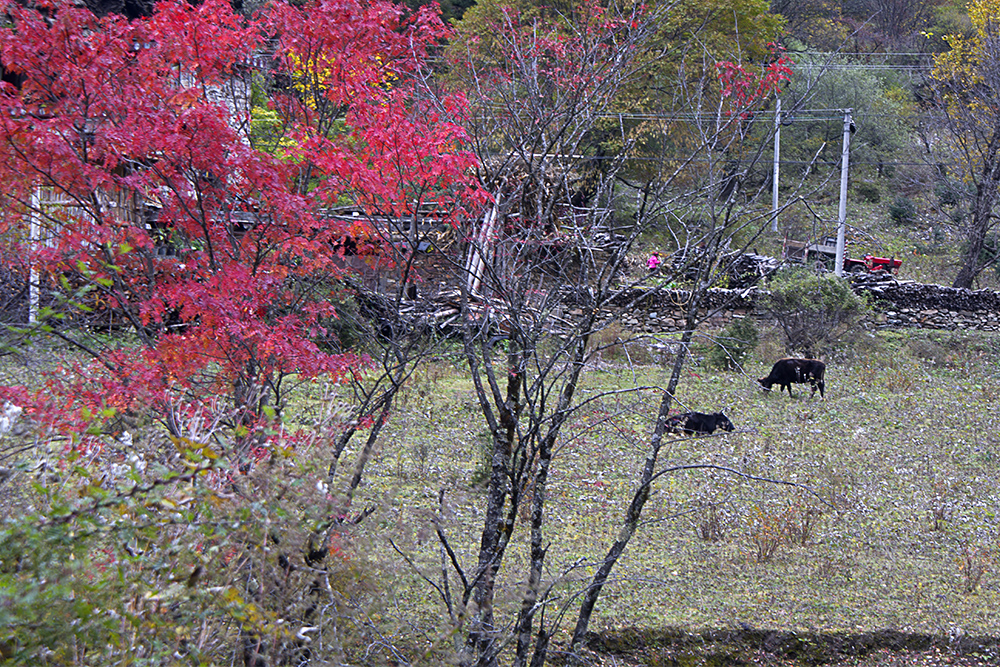 DSC00281ab.jpg