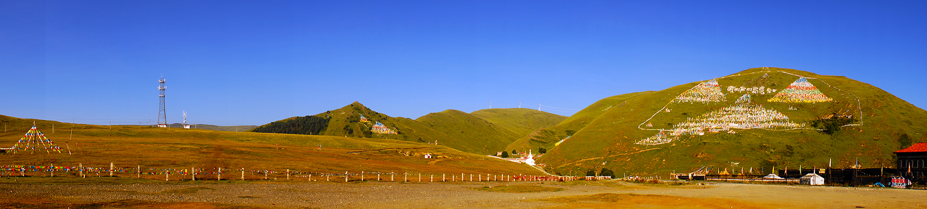 DSC09395a.jpg
