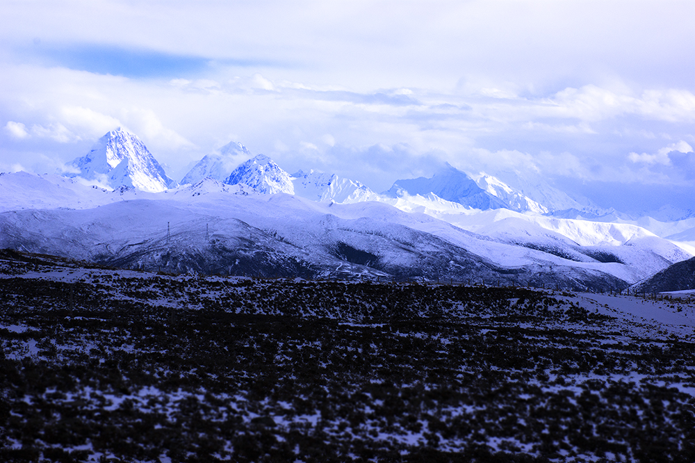 DSC00055 (1)a.jpg