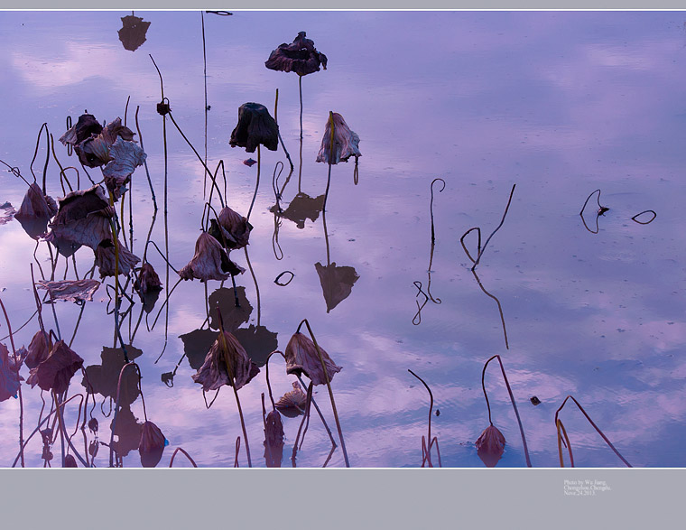 DSC_8086-2.jpg