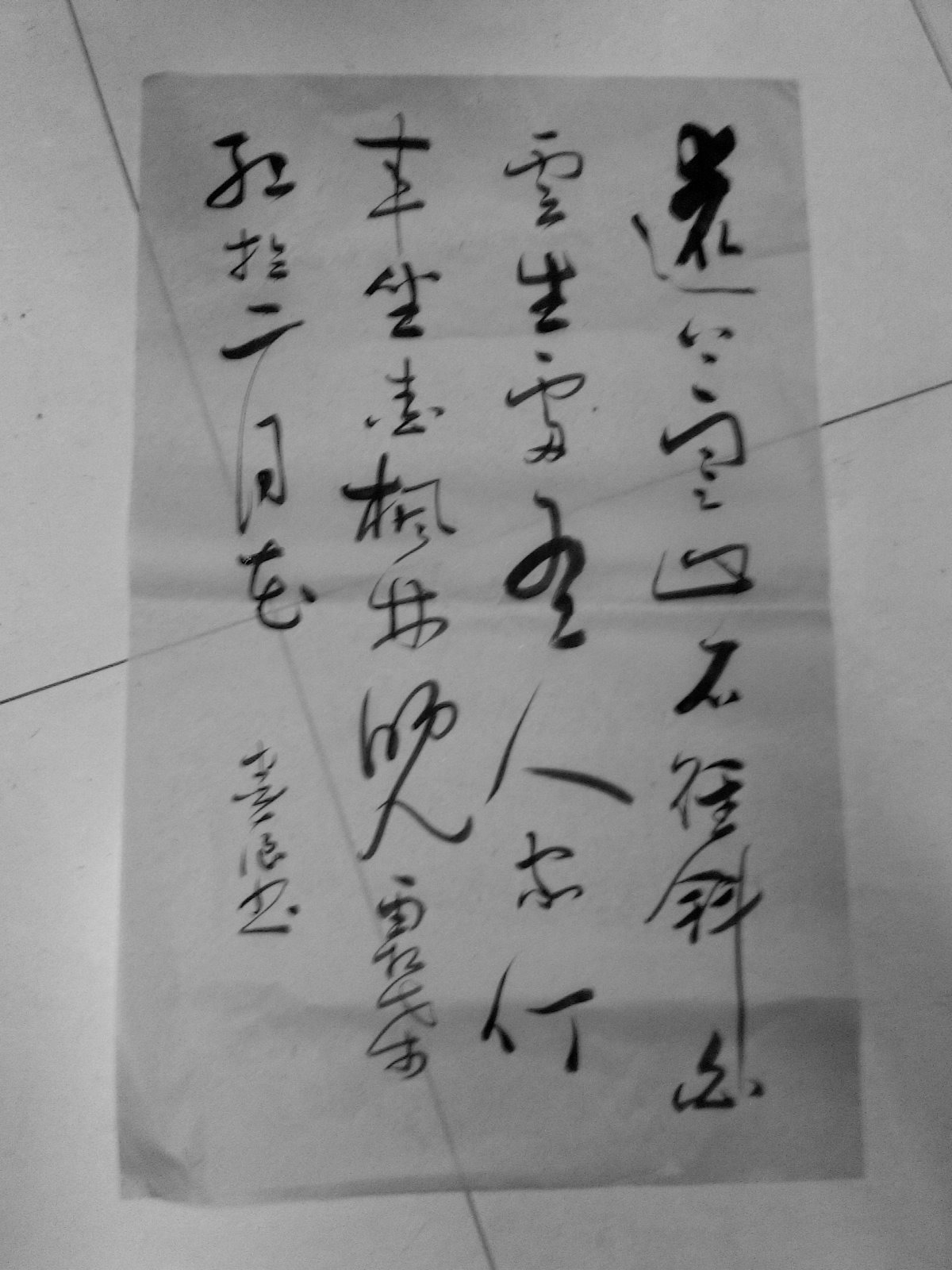 YP20131127203141.jpeg