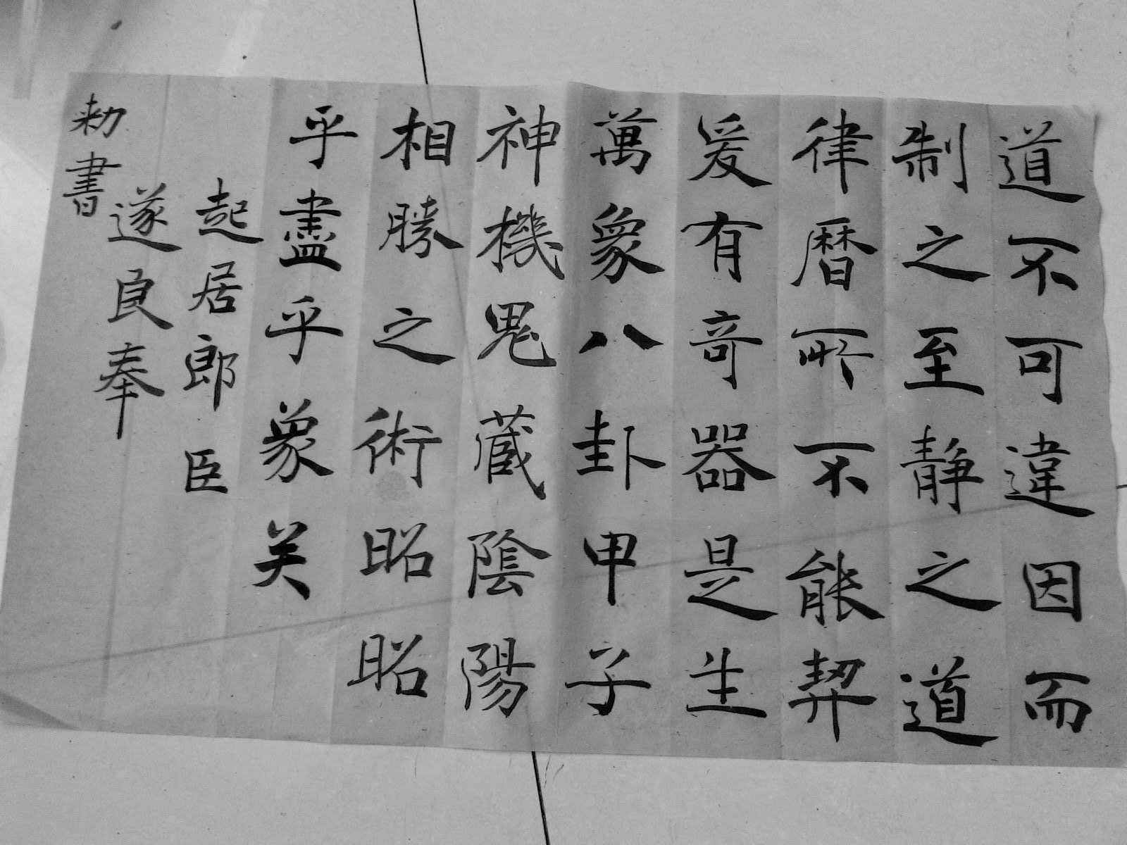 YP20131128095032.jpeg