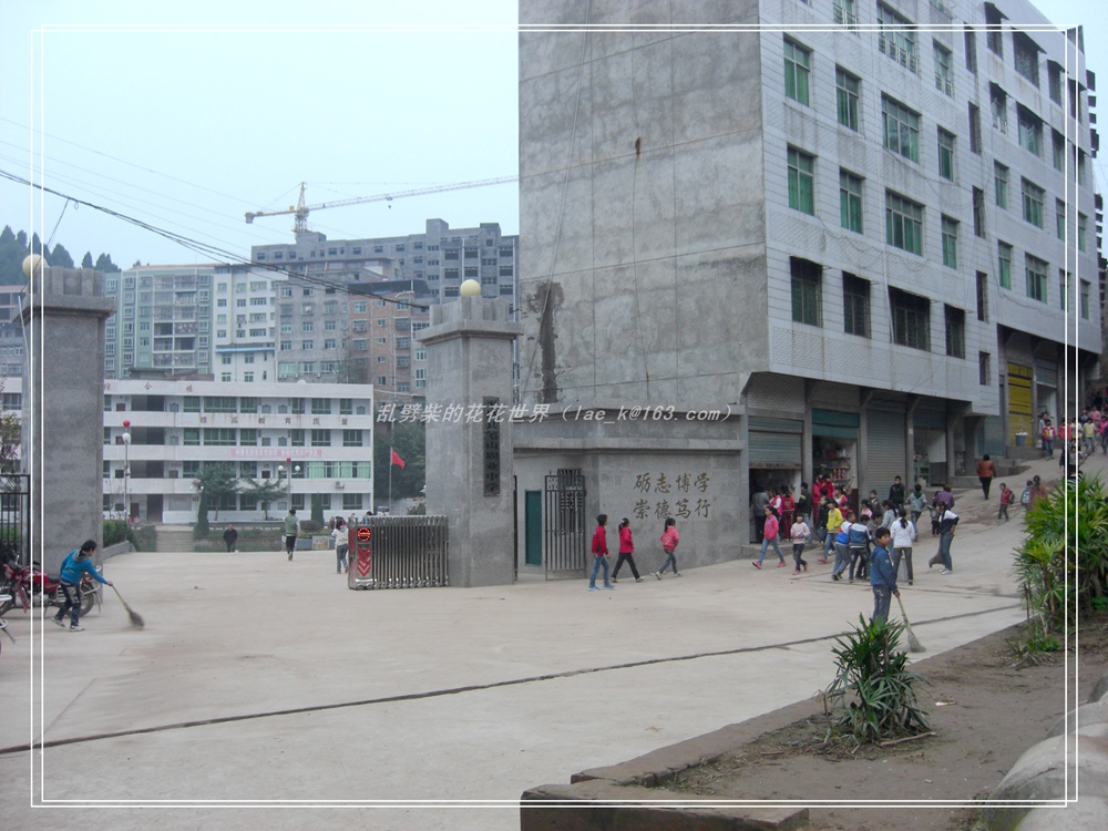 CIMG0873.jpg