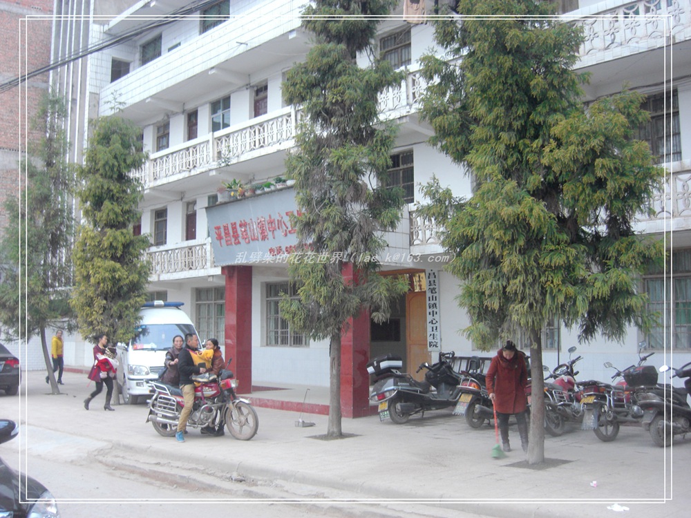 CIMG0892.jpg