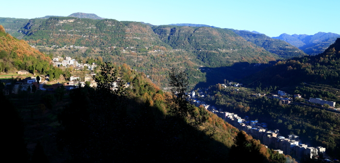 IMG_3555.JPG
