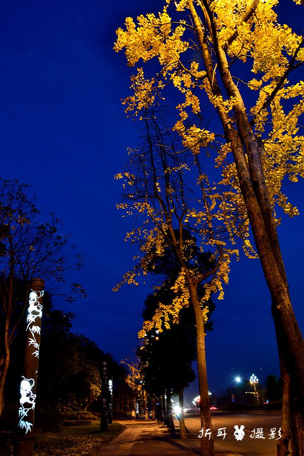 DSC_3635_.jpg