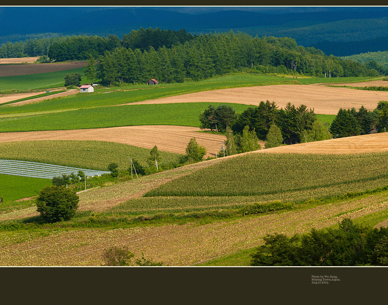DSC_0592-2.jpg
