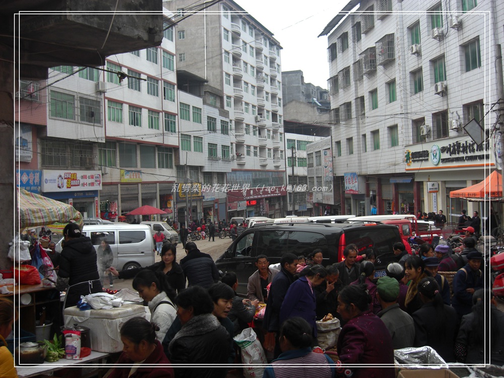 CIMG0922.jpg