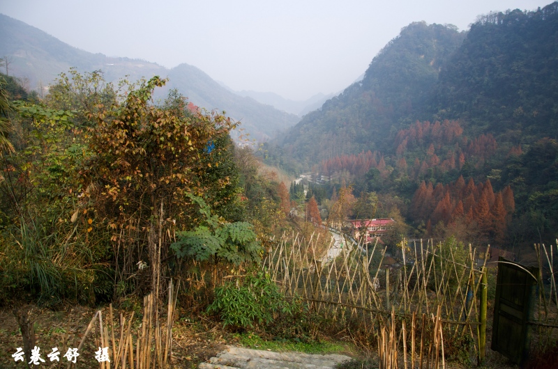 DSC_1419_conew1.jpg