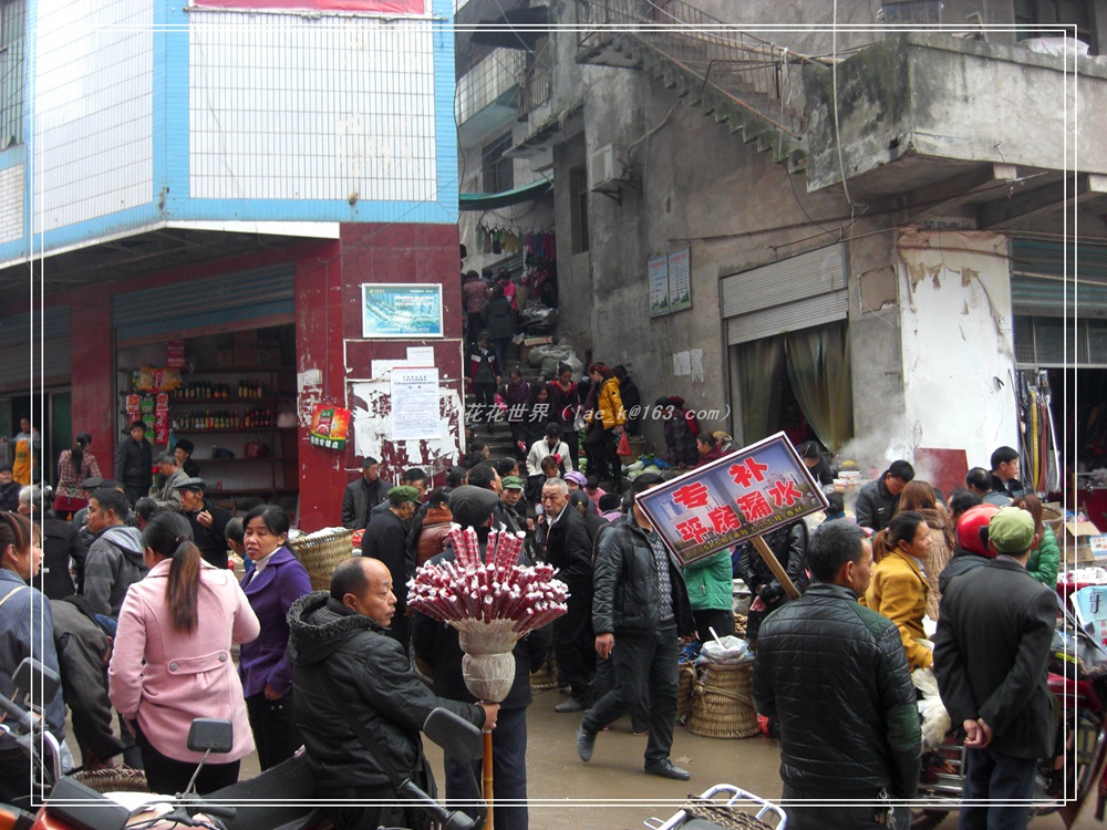 CIMG0941.jpg