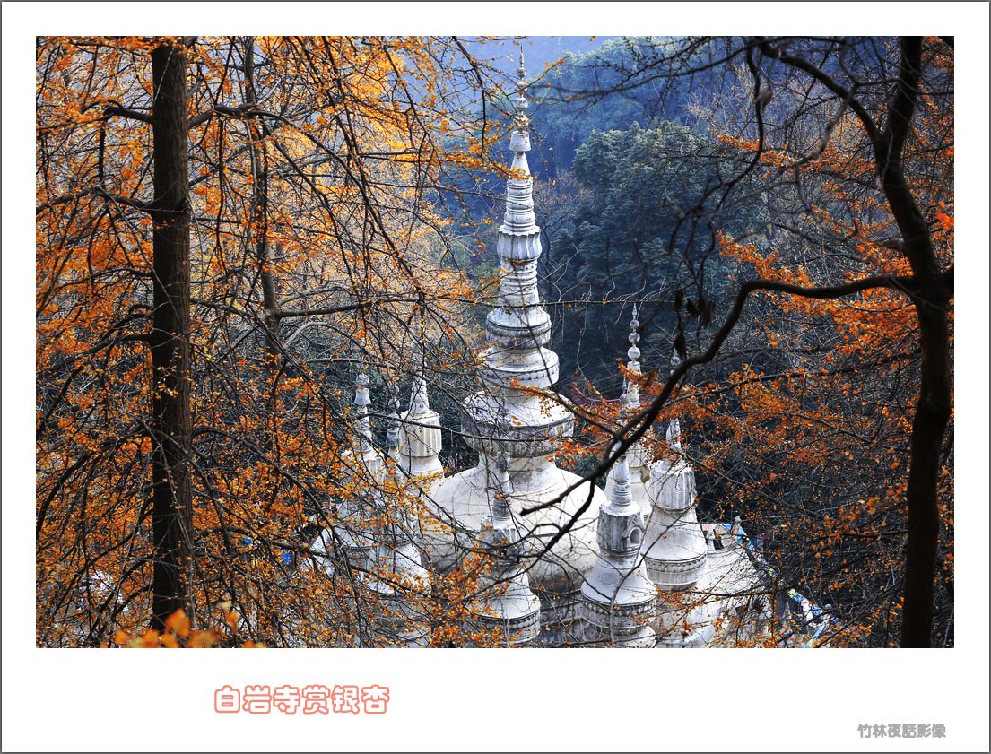 2 -  (7) - .jpg