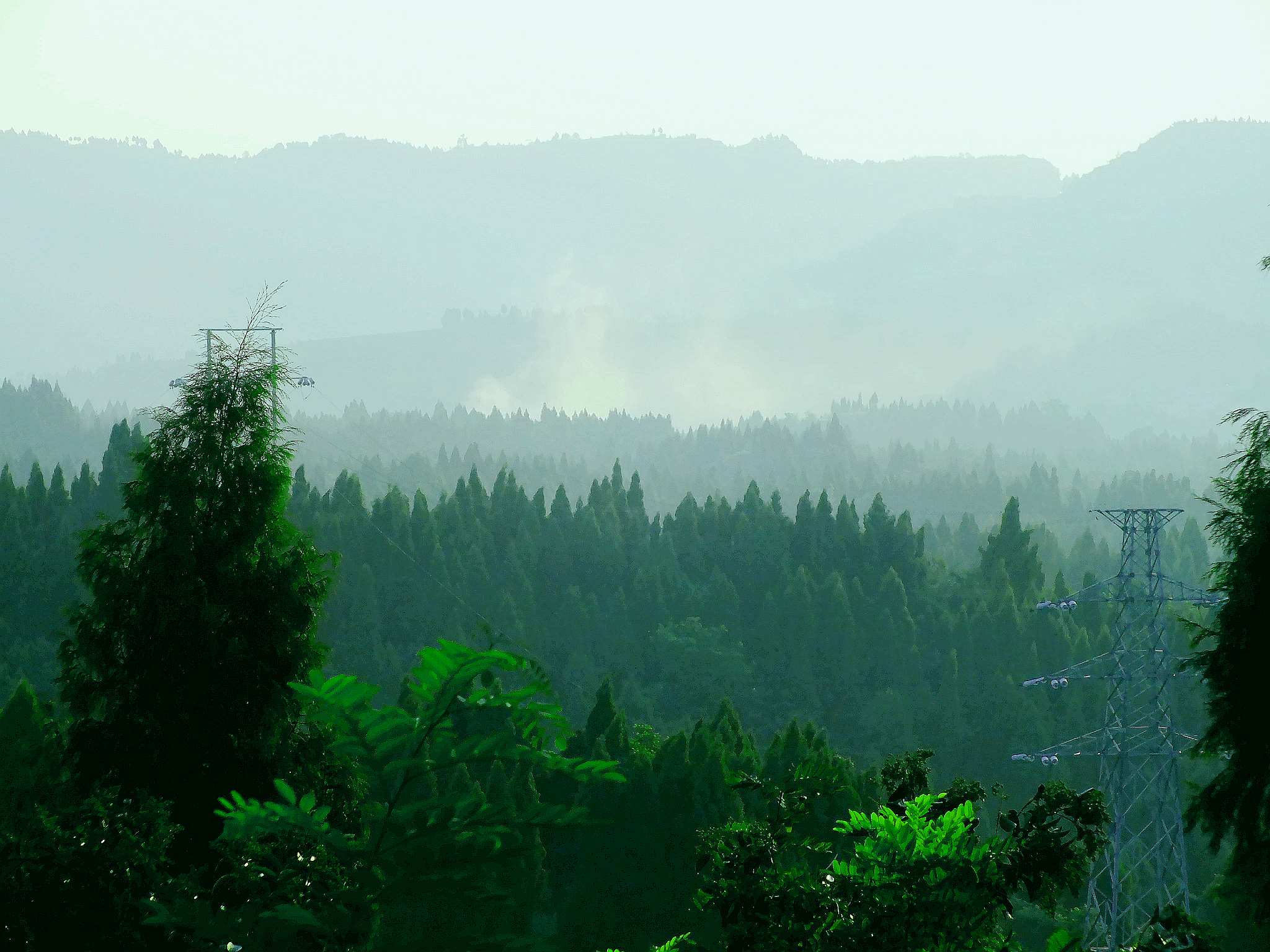 DSCF0646_.jpg