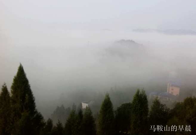 2013-12-03_09-01-55_897244_org.jpg