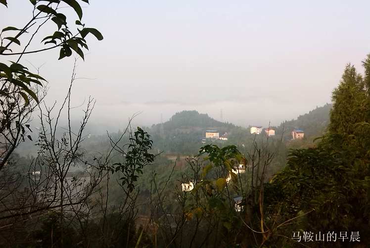 2013-12-03_09-32-06_932087_org.jpg