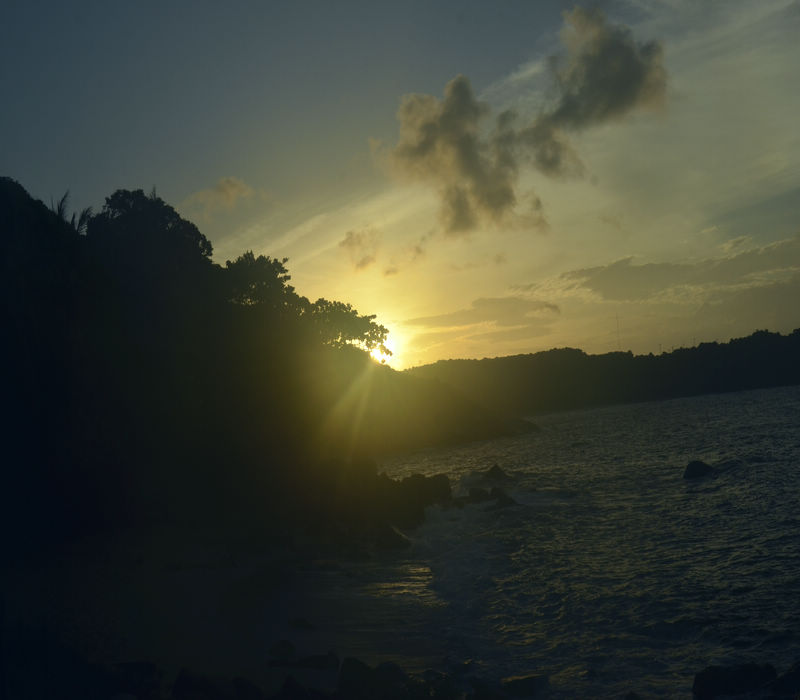 _DSC7882.JPG