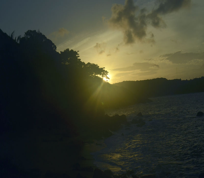 _DSC7883.JPG