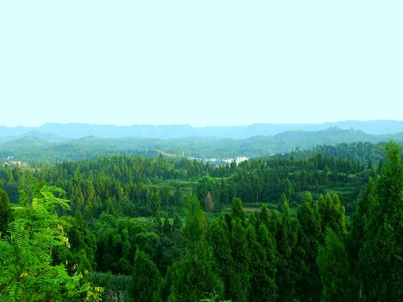 DSCF0650_.jpg