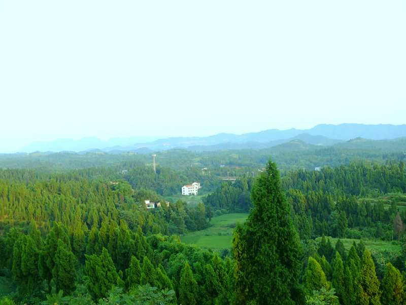 DSCF0662_.jpg