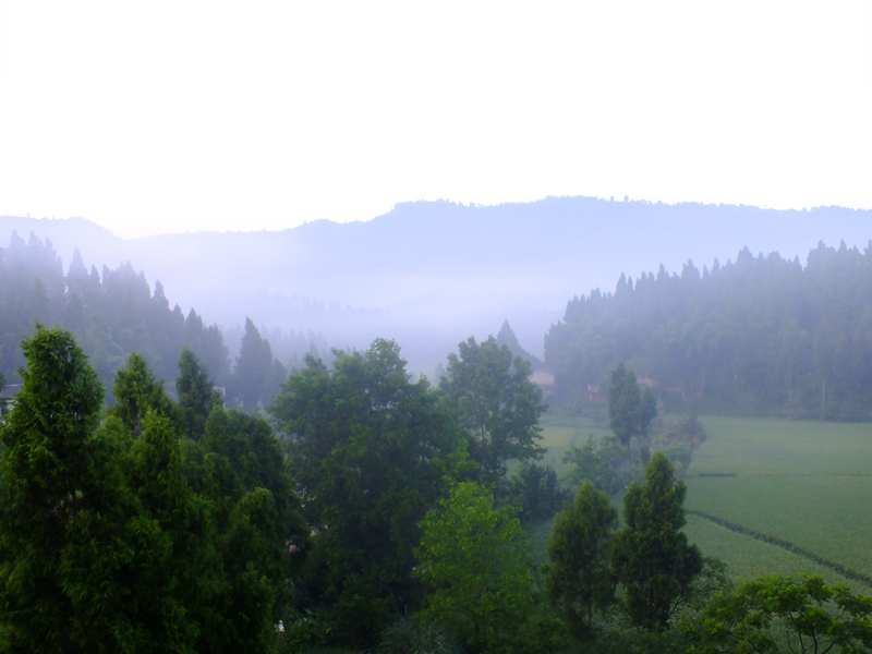 DSCF0726_.jpg
