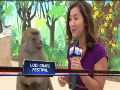 4e5b54d8jw1e90ajzonh6g203c02incj.gif
