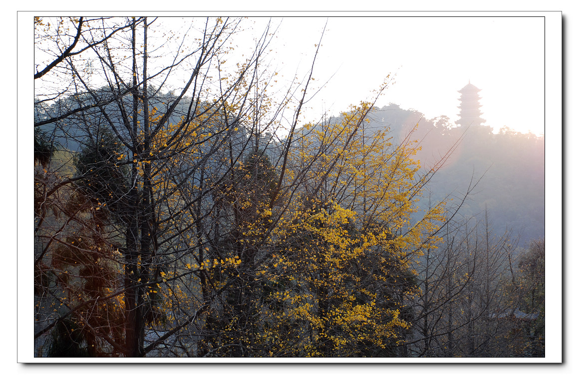 DSC_0395.jpg