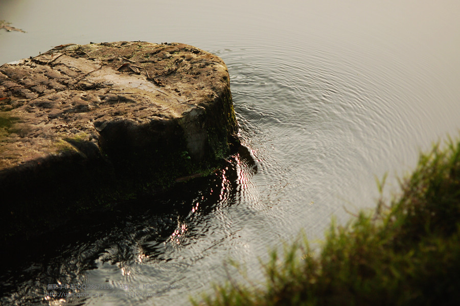 DSC_0607.jpg