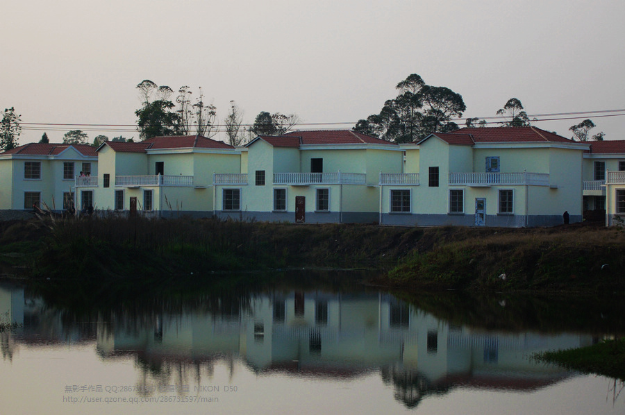 DSC_0715.jpg