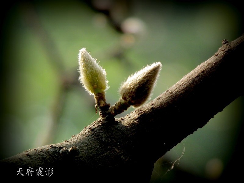2013.12.5԰ 0311.jpg