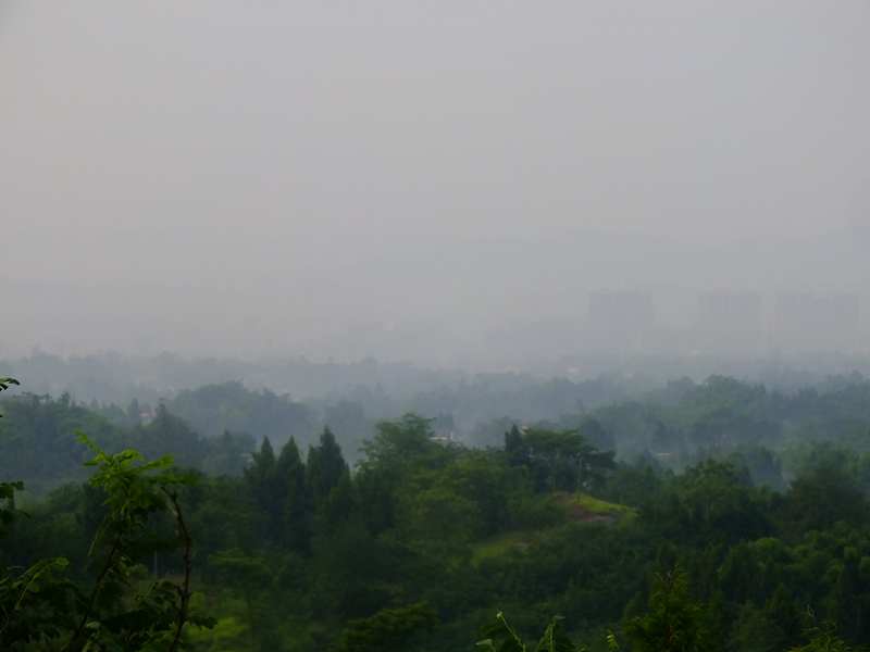DSCF0783_.jpg