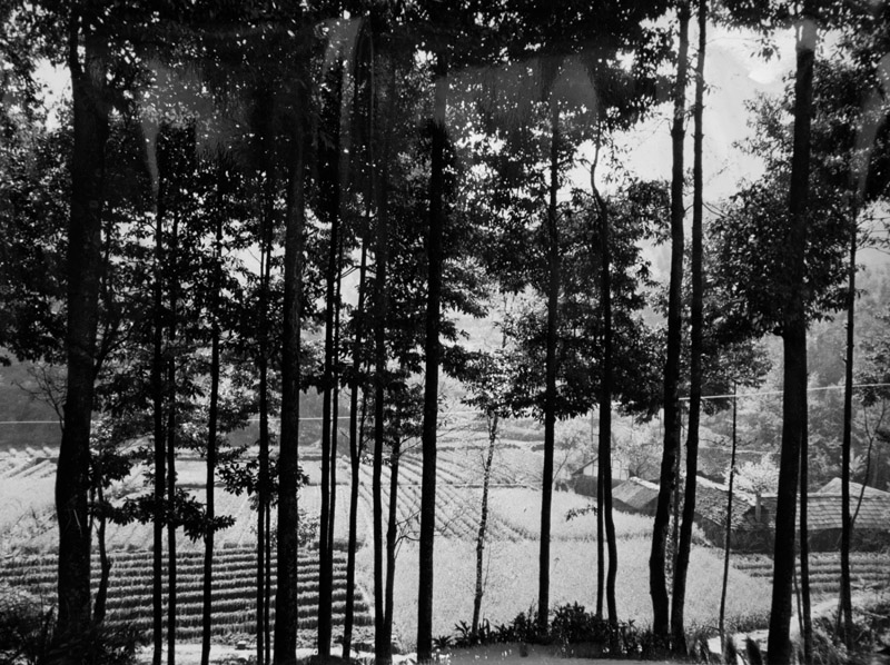 2_427_fb503215f0257df.jpg