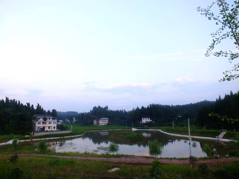 DSCF0797_.jpg