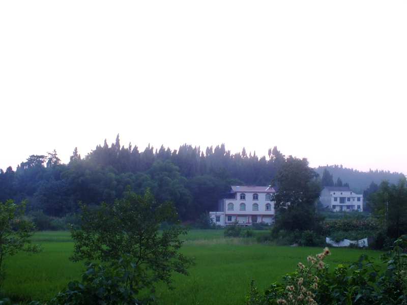 DSCF0798_.jpg