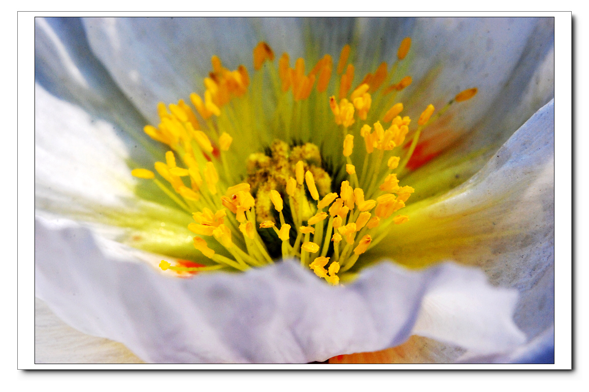 DSC_0678n.jpg