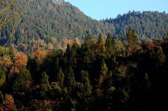 DSC_1600.jpg