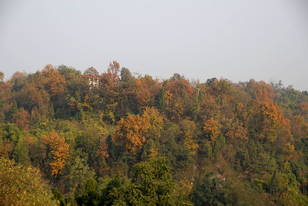 DSC_0043_.jpg
