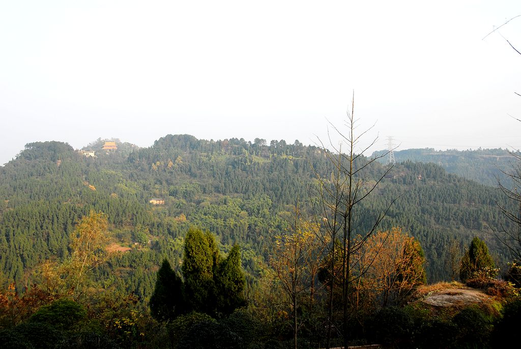 DSC_0077_.jpg