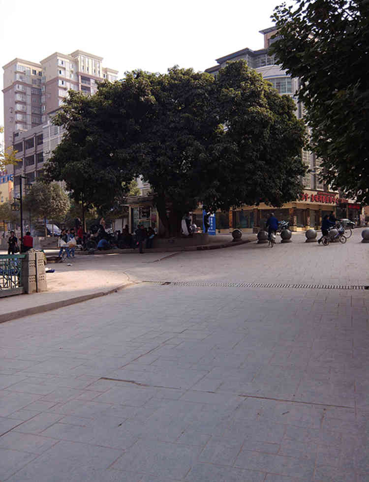 IMG_20131116_134625.jpg