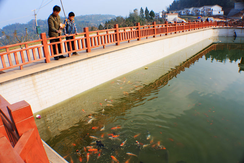 阳光,沙滩,海浪,还有城墙,长赤镇的玉湖新村新貌