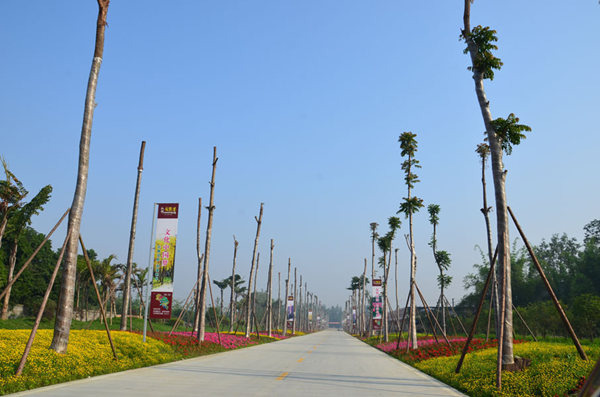 DSC_3236.jpg
