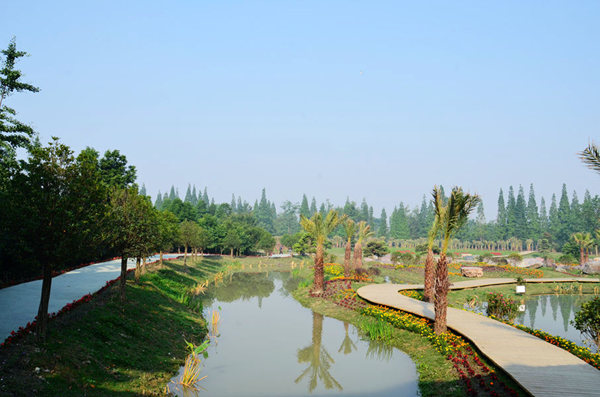DSC_3281.jpg