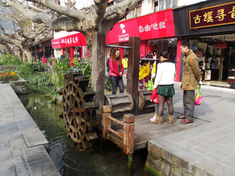 DSCF8572.JPG