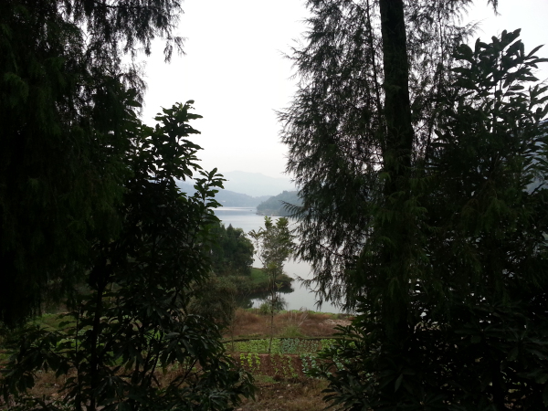 20131104_162533.jpg